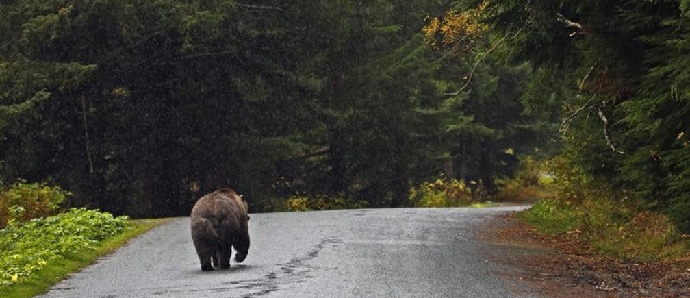 large_Enr0x_KFtyVMsTySyKLGC-tB4riP1LFi8FIIfVchTUI