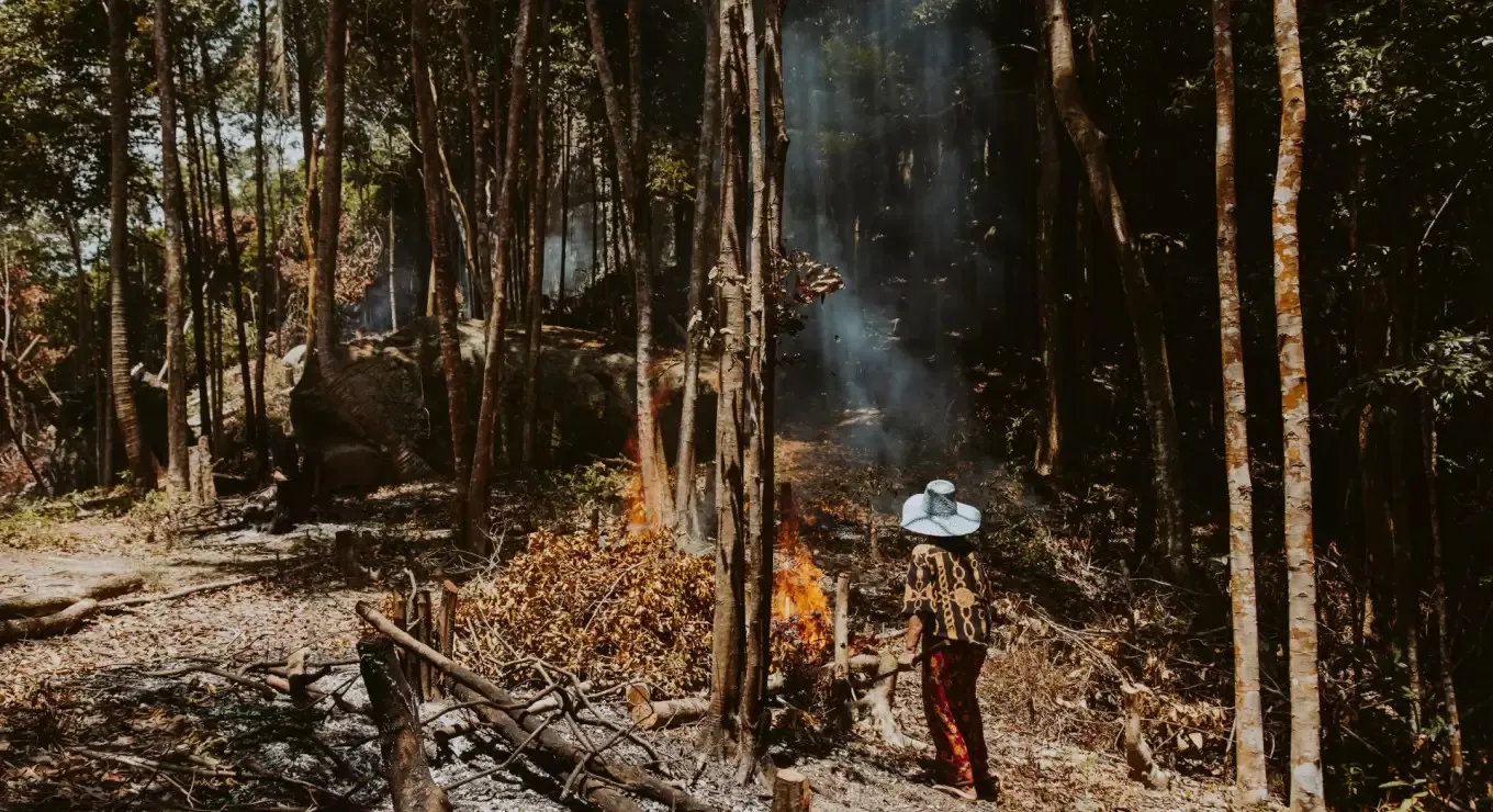 66f0429f9742f__1360x740