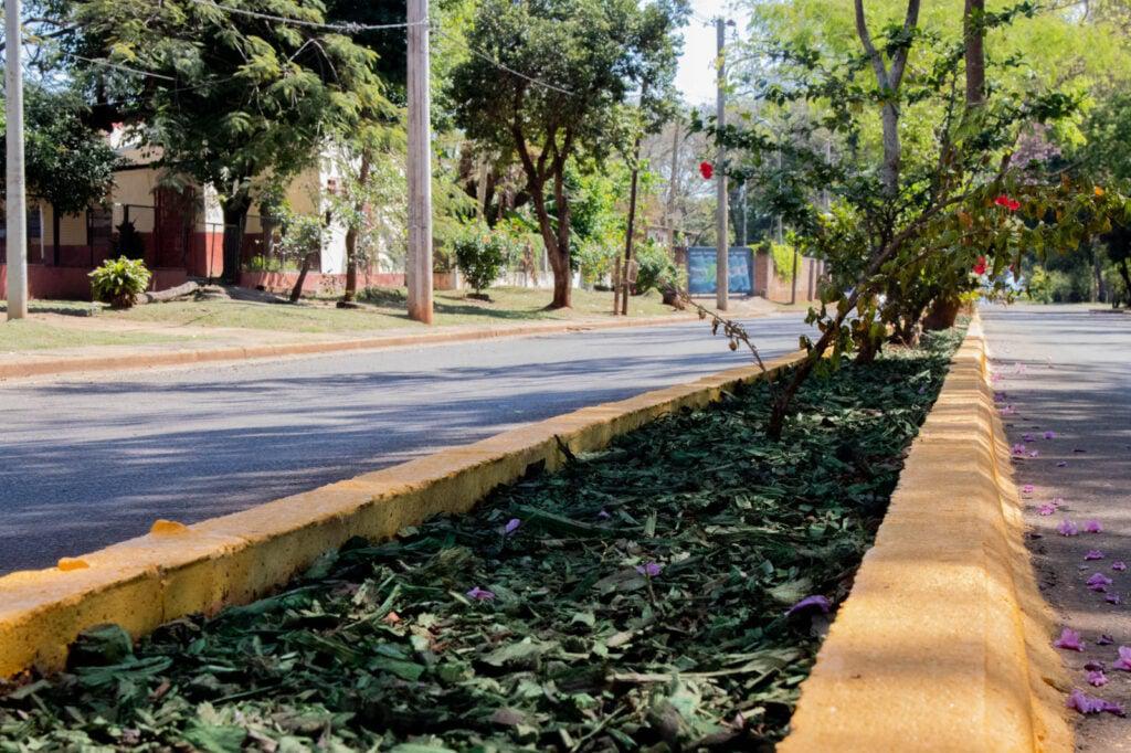 Mejoramiento-del-suelo-1-1024x682