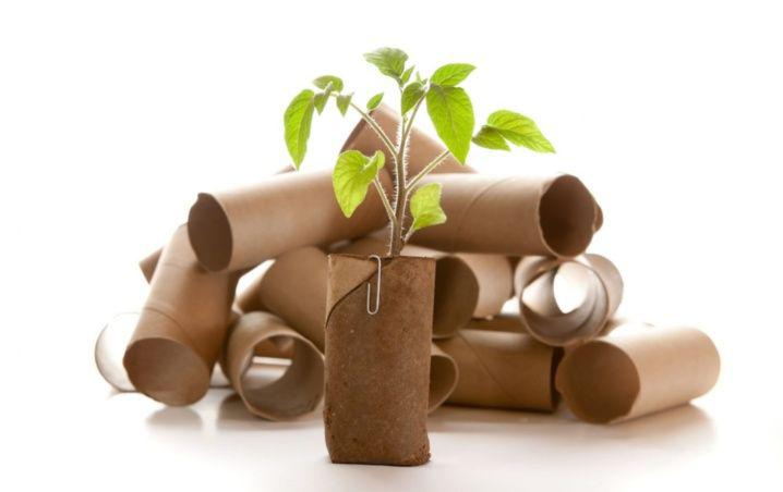 reciclar_tubos__1.jpg_793492074