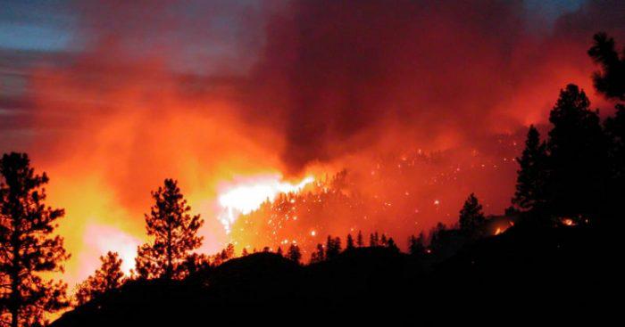incendio-forestal_816x428-700x367 (1)