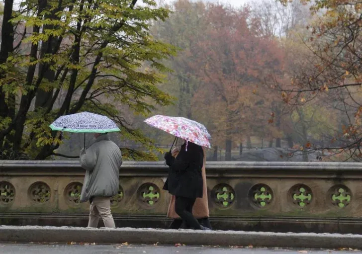 Nueva-York-aboga-por-mas-arboles-y-mejor-alcantarillado-para-combatir-inundaciones-770x540-1-728x511