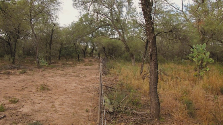 cotroneo-destacada_opt