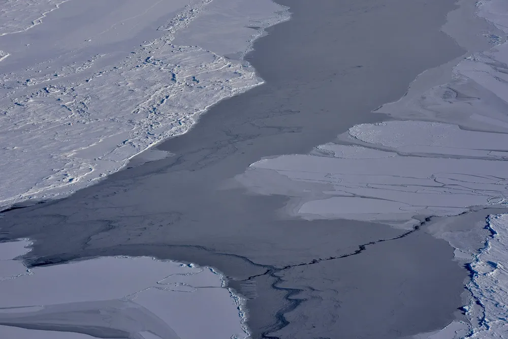 Sea_ice copia