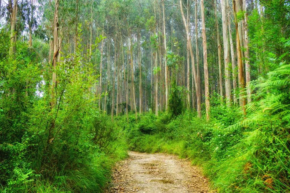 BODAXLJTX5F7HOPAA454MMYU2M