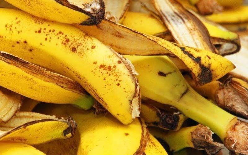 una-nueva-tecnica-permite-producir-hidrogeno-a-partir-de-cascaras-de-platano-en-unos-pocos-milisegundos-14242