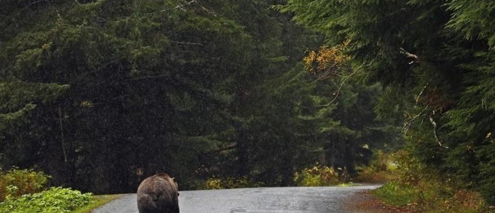 large_SUzSTlDF_AdI3mbRfJo0JIcJSADeI8B-EpFwozuQZRw