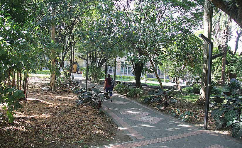 la-vegetacion-es-una-herramienta-clave-para-regular-la-temperatura-urbana