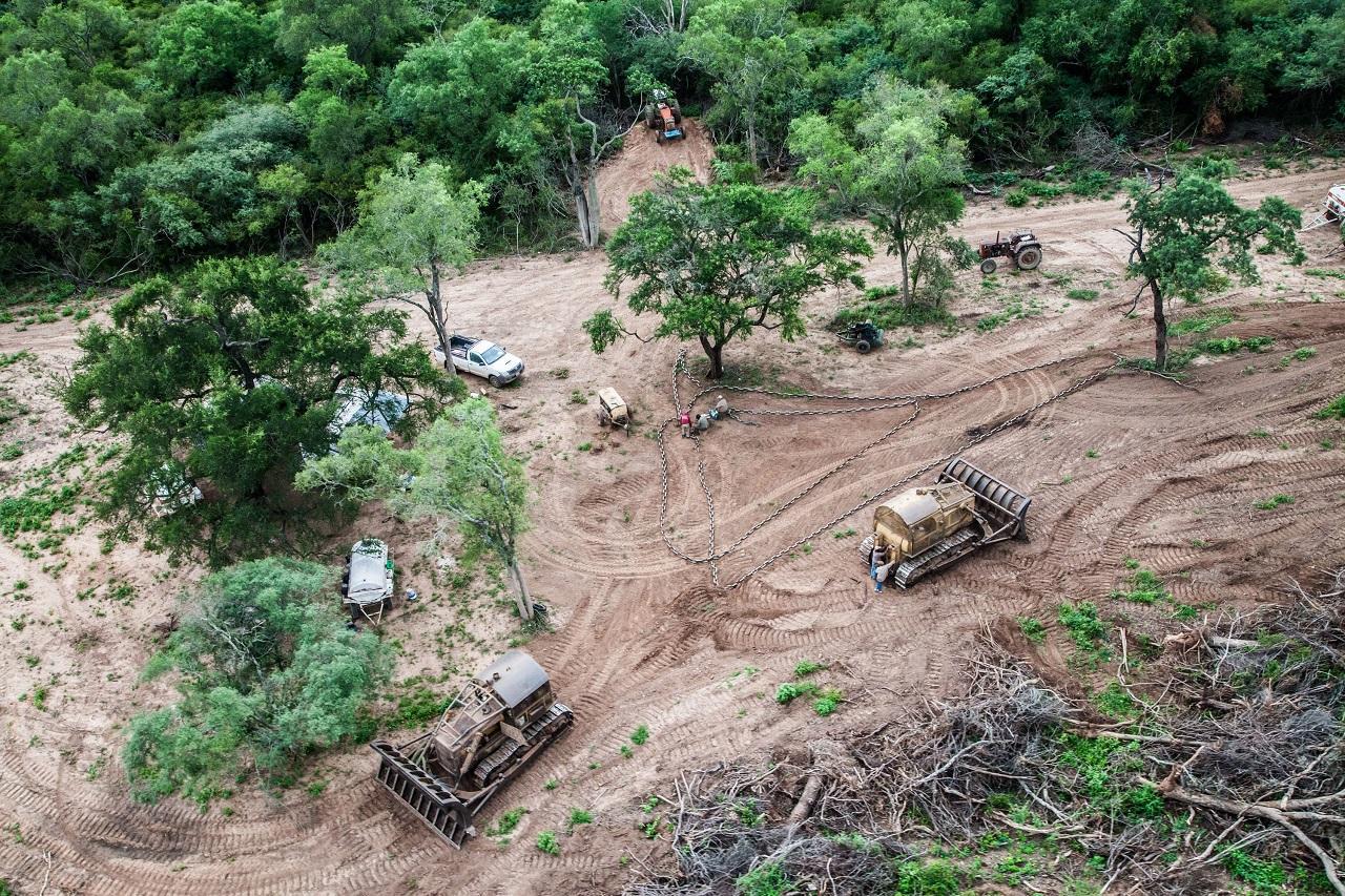 a-nasa-le-llamo-atencion-deforestacion-salta-lo-demostro-comparando-registros-137290-120617