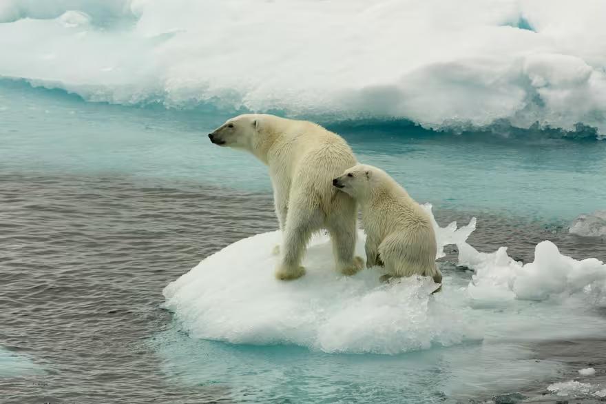 fenomenos-climaticos-extremos-cambio-climatico-7AEEJ5DWAZH23JMEV2CFGJKGYU