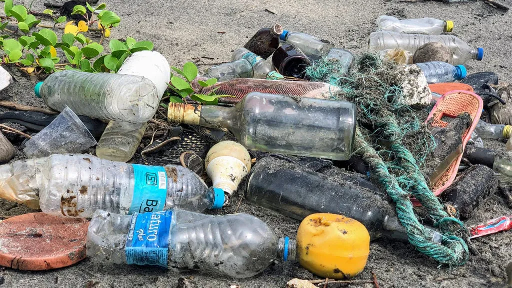 plasticos-residuos-basura-1024x576