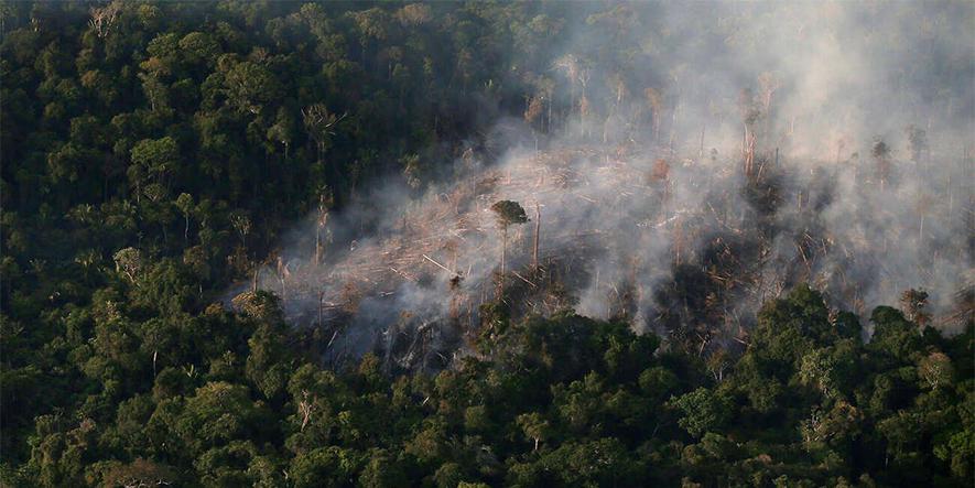 Amazonas/incendio/tala