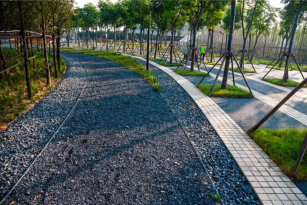 XRZT5J5RHBBF7O46RD6S6FKP6I