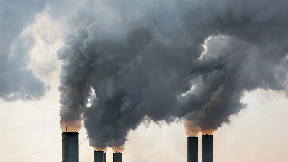 c5646e5d-39a4-4cbd-a1d4-343438aa78a0