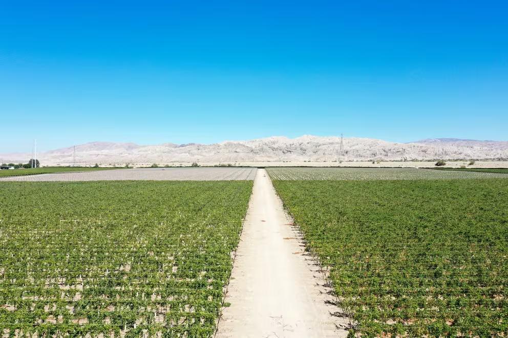 GARX3FZU4TOPK7F34NRIT5EE4I