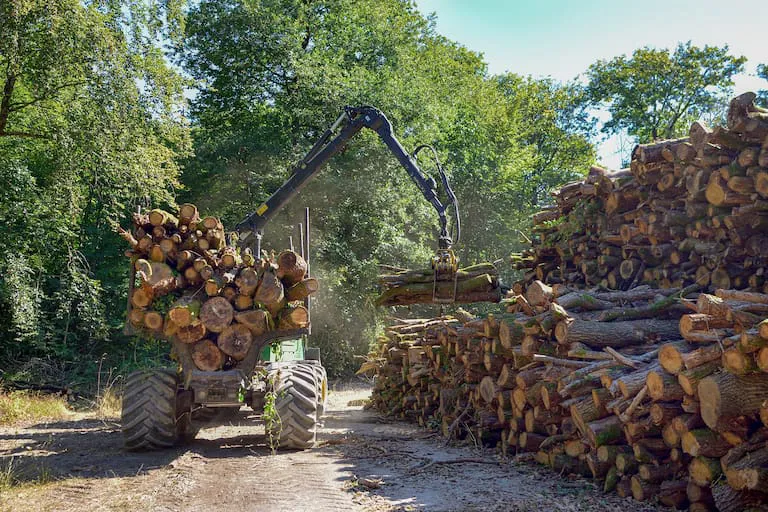 alrededor-de-un-40percent-de-las-plantaciones-KLXSGG6YNBE67COQDEYWY5QXEM