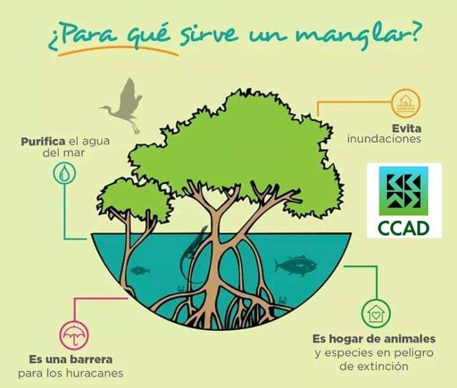 WhatsApp Image 2019-07-27 at 04.50.48