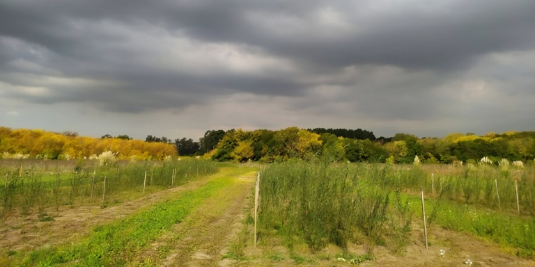 biosolidos-tratamientos