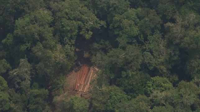 Deforestacion-Amazonia-brasilena-crece-estudio_EDIIMA20200518_1139_4
