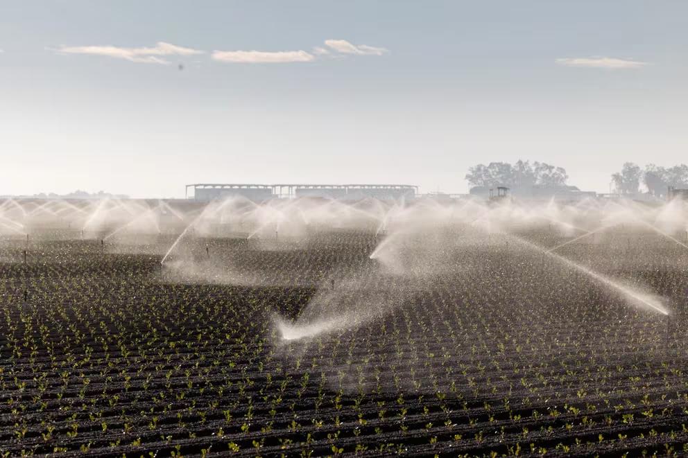 U5EE47ZUU266EJUTWHBHFZ6UPQ