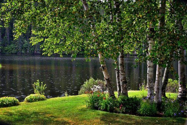landscape-2577207_640-e1611674653959