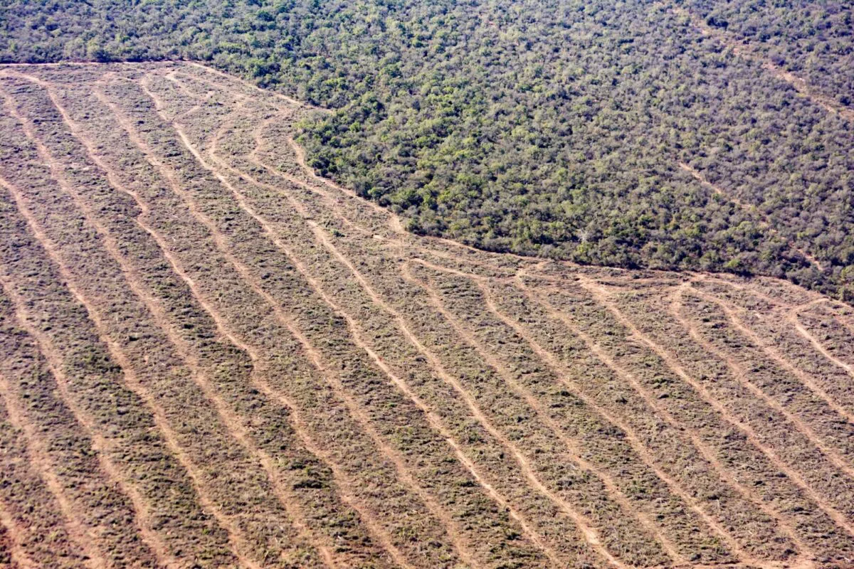 Deforestacion-para-fines-agricolas-en-el-norte-de-Argentina.-Greenpeace-Argentina-1200x800