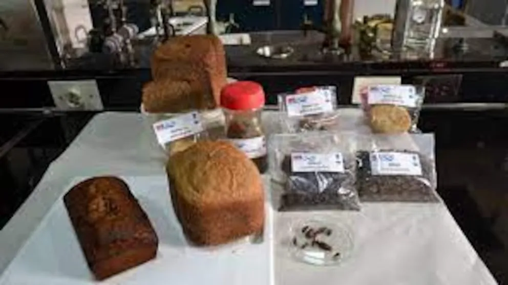 OWPII45YYZHUXC6PJ326FKDOPY