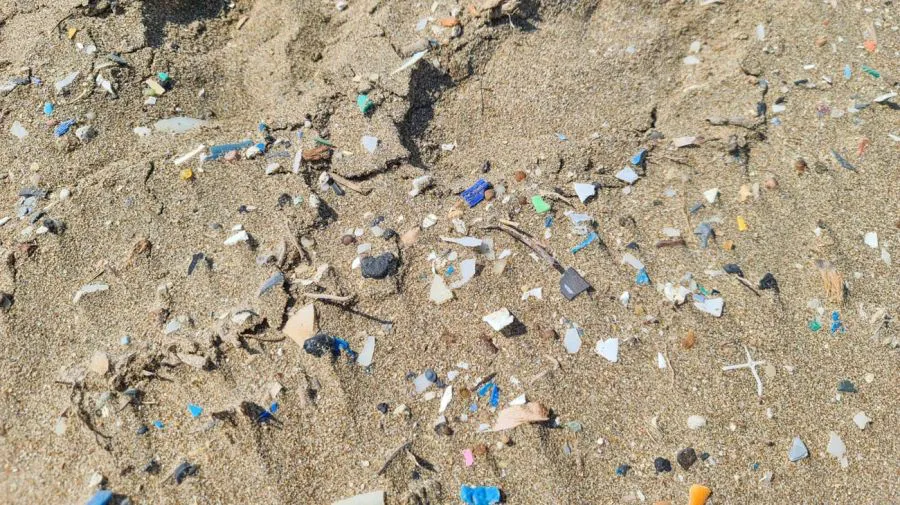 microplasticos-1809543