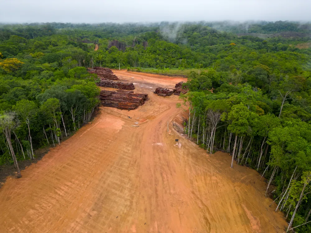 Ley-Cero-deforestacion-de-la-Union-Europea-Latinoamerica-cumplira-con-los-nuevos-plazos-de-la-norma