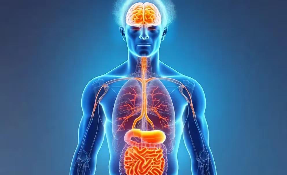 DQ3YCBQK7JCH7P6CDIINZTVPTA