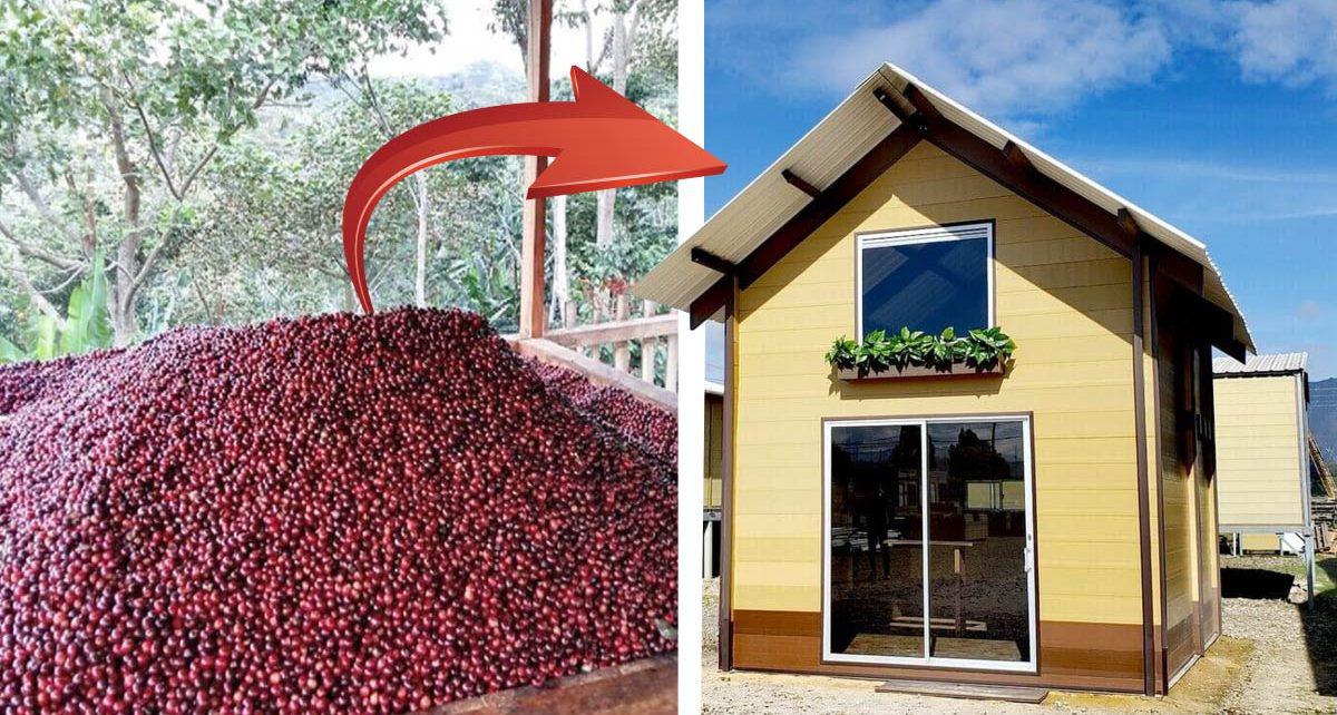 Casas-de-cafe-portada_00000-1200x642