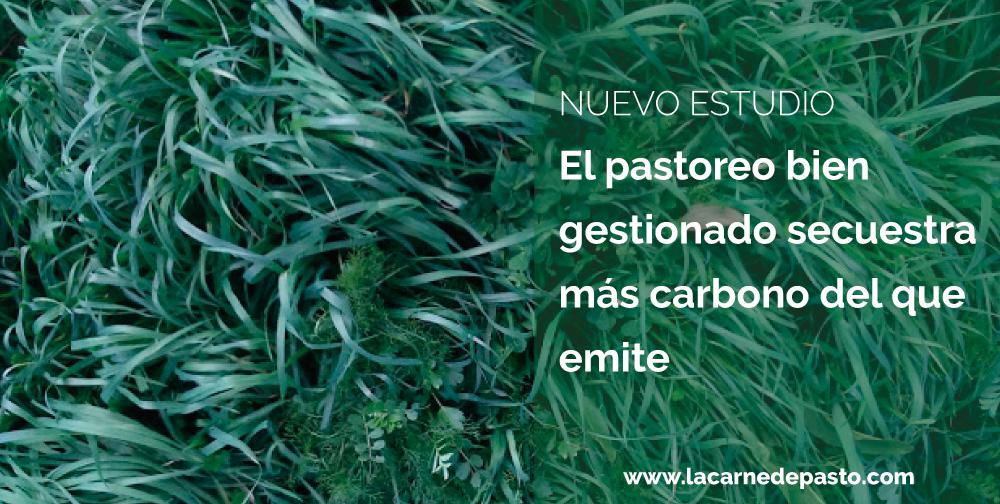 pastoreo-bien-gestionado