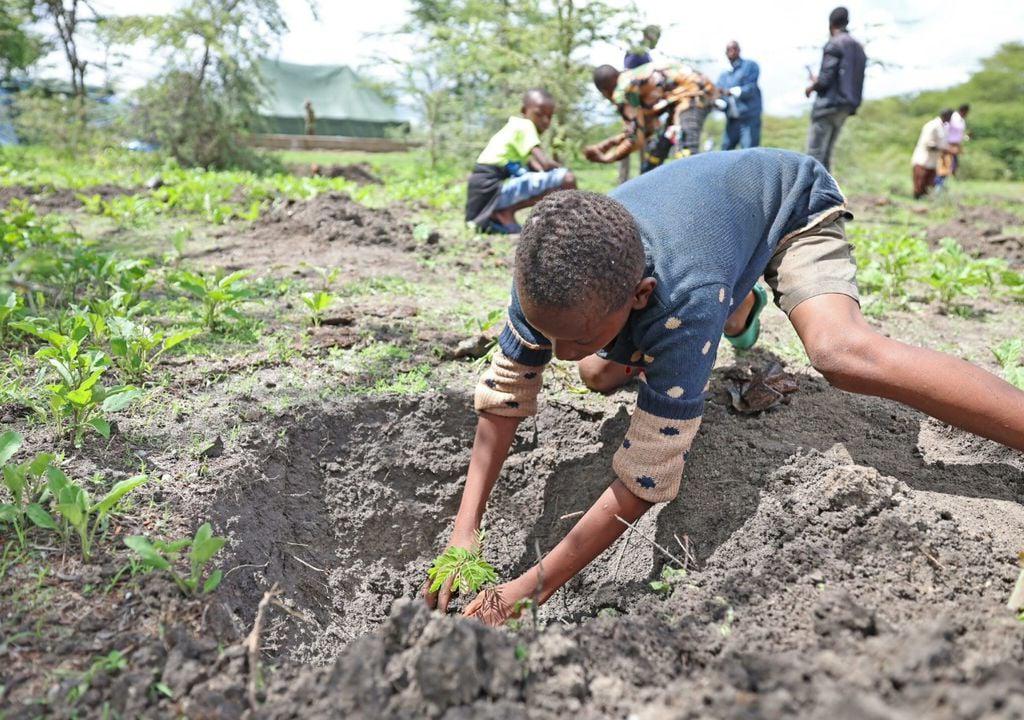 el-pais-que-declaro-un-feriado-nacional-para-plantar-100-millones-de-arboles-1700072193321_1024