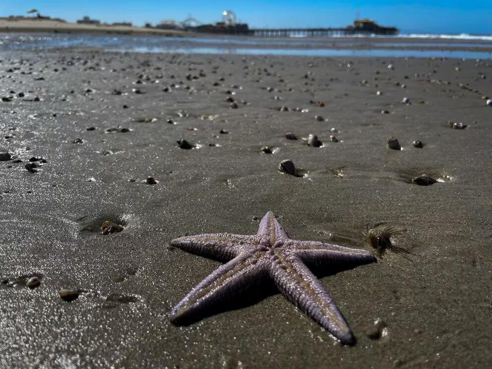 Q2KIL7WG4ETPVILBG5GHE33XF4